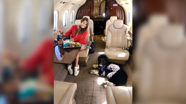 ¿Puedo Llevar A Mi Mascota En El Avión Privado?