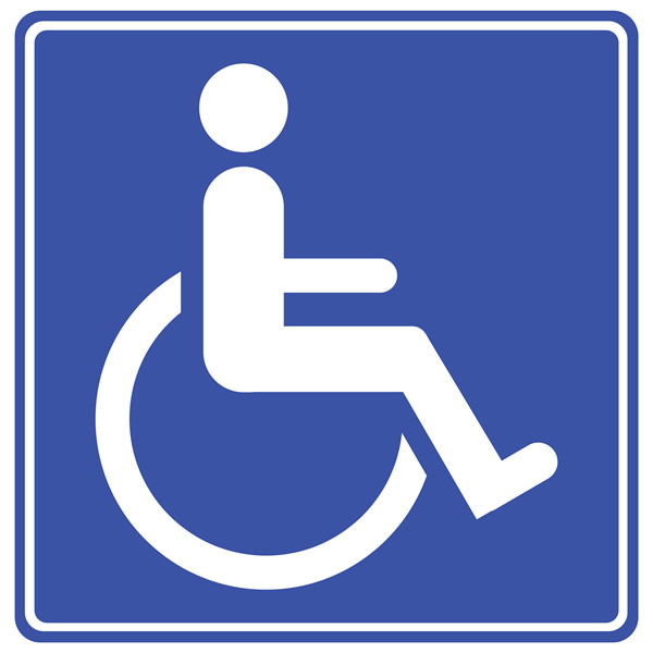 ¿Puedo Solicitar Alojamiento Especial Para Pasajeros Discapacitados?
