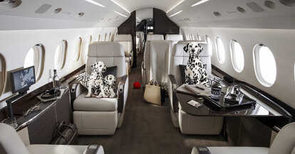 ¿Viaja Con Mascotas? Cómo Conseguir Un Jet Privado Que Acepte Mascotas